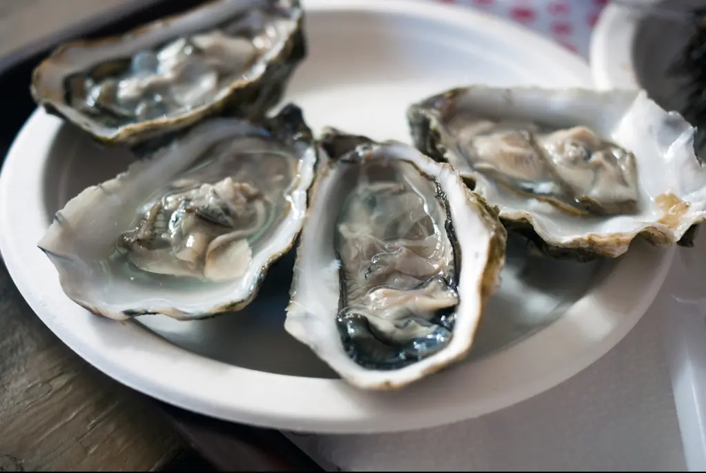 The bacteria can be found in raw shellfish, such as oysters. Credit: Carlo A / Getty