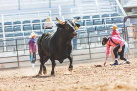 Bull riding prodigy, 24, trampled to death during Texas rodeo