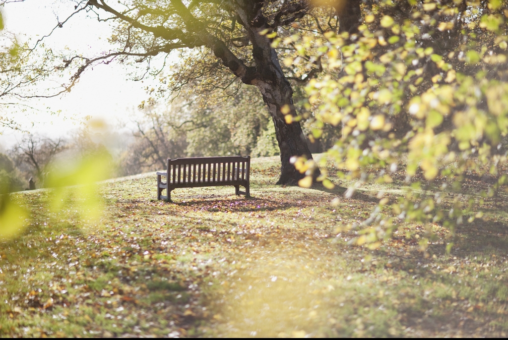 park bench