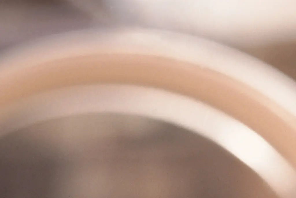 Woman, 66, who has given birth to her 10th child says it was conceived naturally