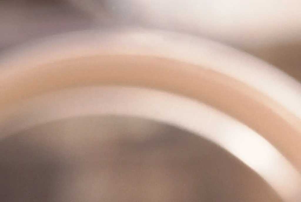 Woman, 66, who has given birth to her 10th child says it was conceived naturally