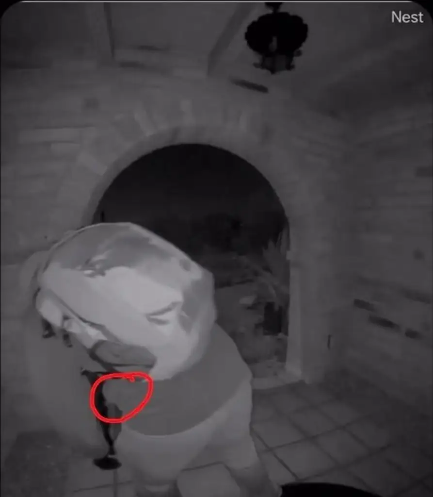 Does this prove that the Nancy Guthrie kidnapping suspect had an accomplice? Credit: Jennifer Coffindaffer/X