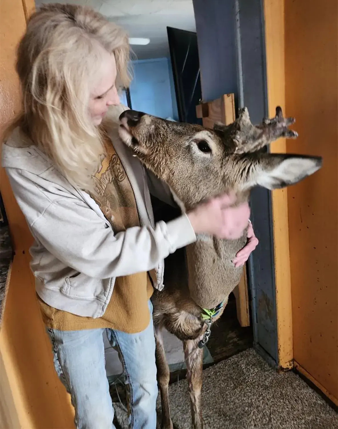 Jodi Proger's death is under investigation. Credit: Jodi Proger/Facebook
