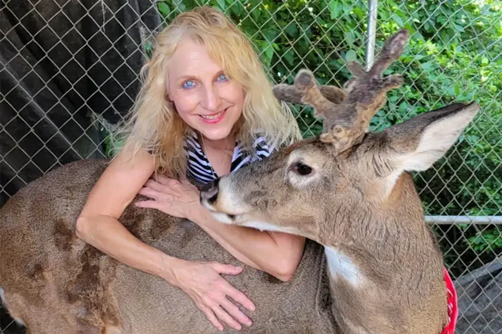 Jodi Proger and her deer, Wheezer. Credit : Jodi Proger/Facebook