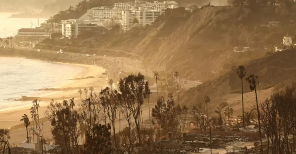 Architect of home that survived LA wildfire reveals 'design choices' that made the difference