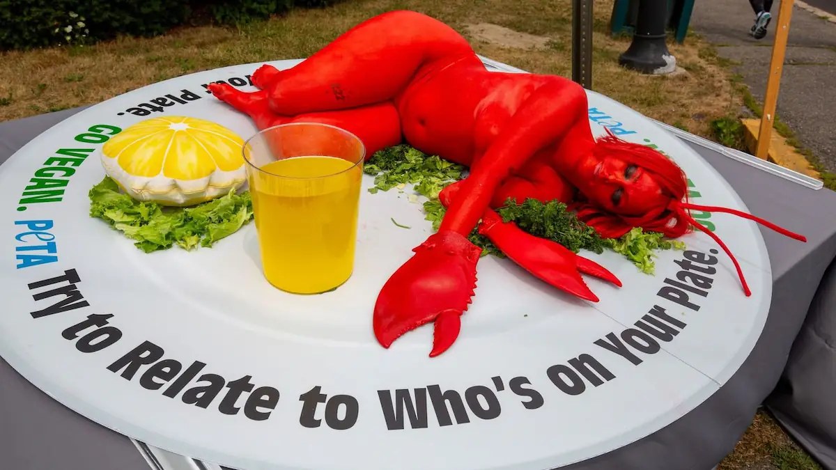 PETA stages topless lobster protest outside Maine Lobster Festival for second decade running