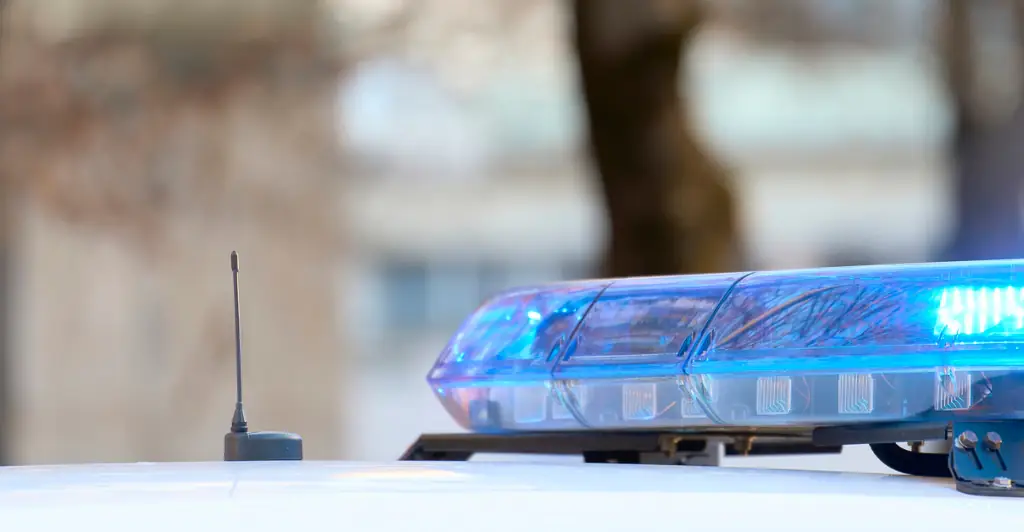 Police reveal what really caused mass panic as thousands of people were seen running through the streets in Dallas
