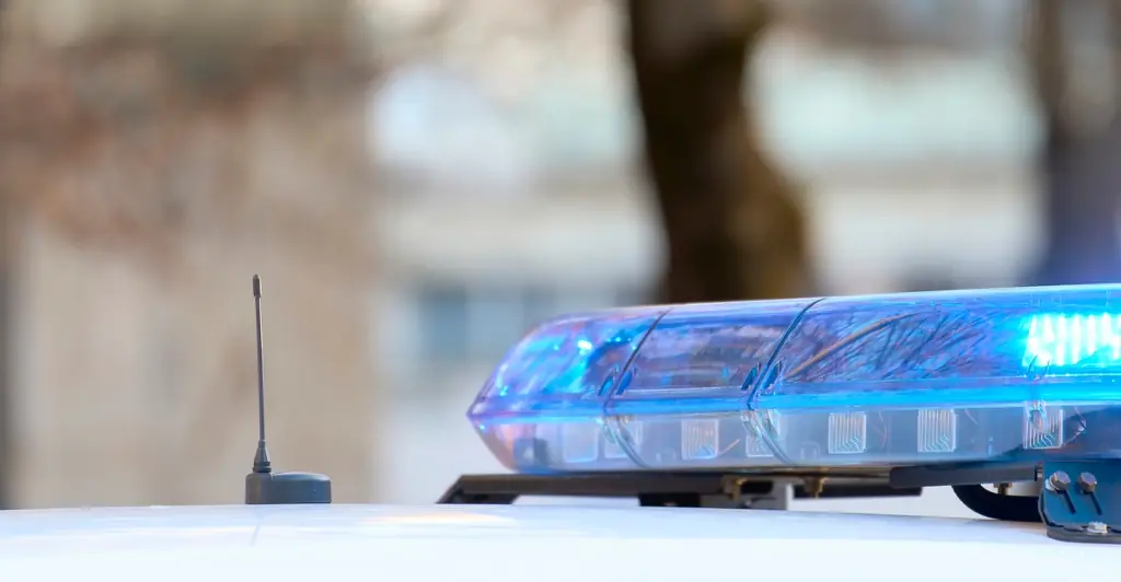 Police reveal what really caused mass panic as thousands of people were seen running through the streets in Dallas