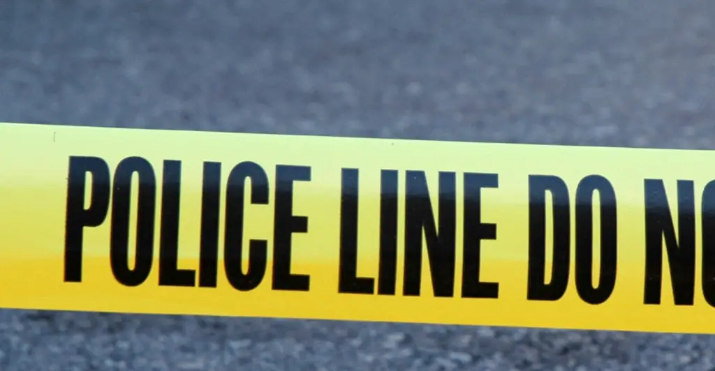 Twisted reason son continued living with his father's corpse in backyard freezer for four years