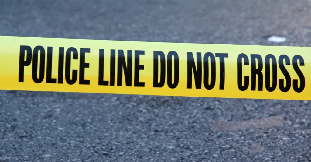 Twisted reason son continued living with his father's corpse in backyard freezer for four years