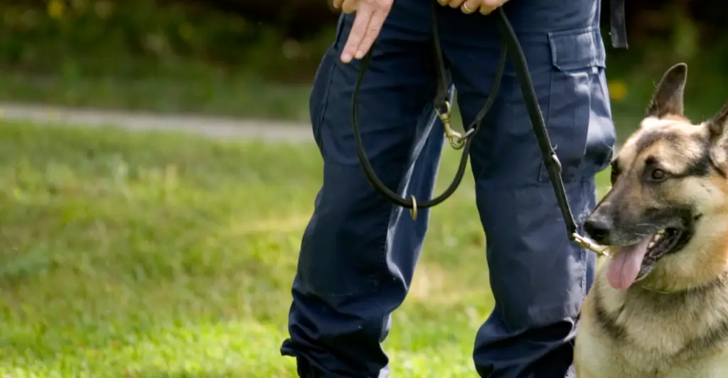 Woman who went viral after finding creepy rug buried in her backyard, sparking police and cadaver dogs to dig it up, reveals what was inside