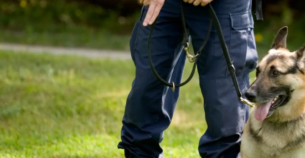 Woman who went viral after finding creepy rug buried in her backyard, sparking police and cadaver dogs to dig it up, reveals what was inside