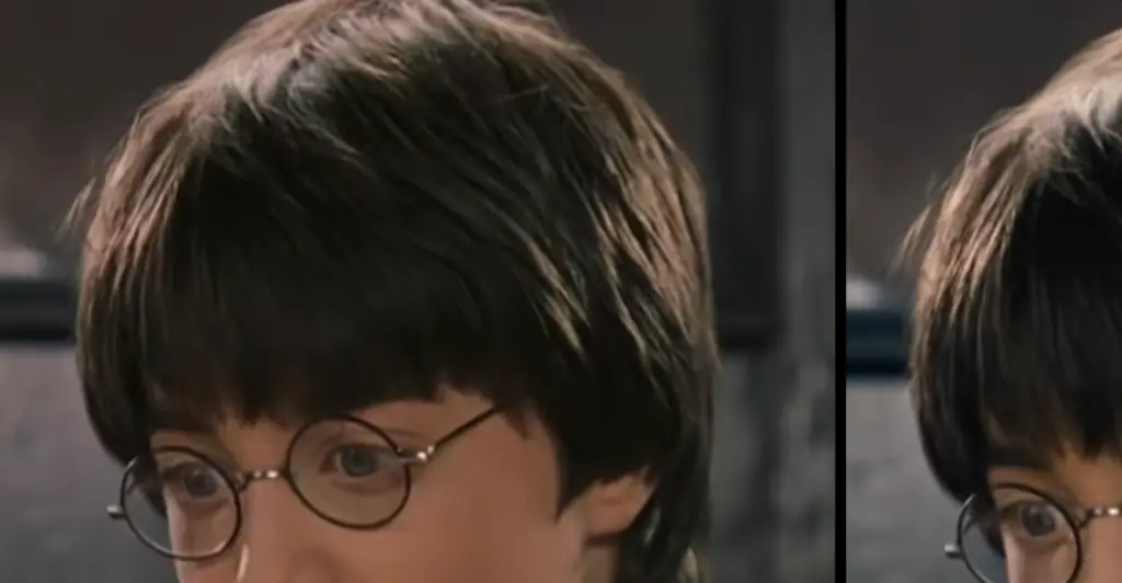 'Harry Potter' fans are stunned after learning there are two versions of the first movie