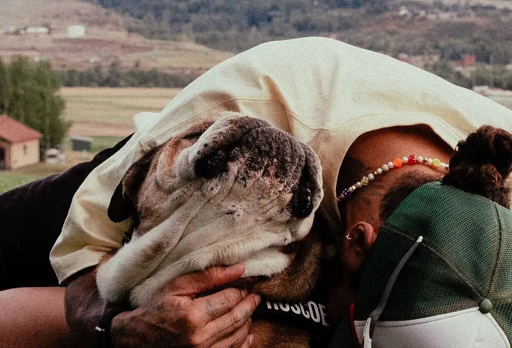 Formula 1 star Lewis Hamilton shares four-word post after death of his beloved dog Roscoe