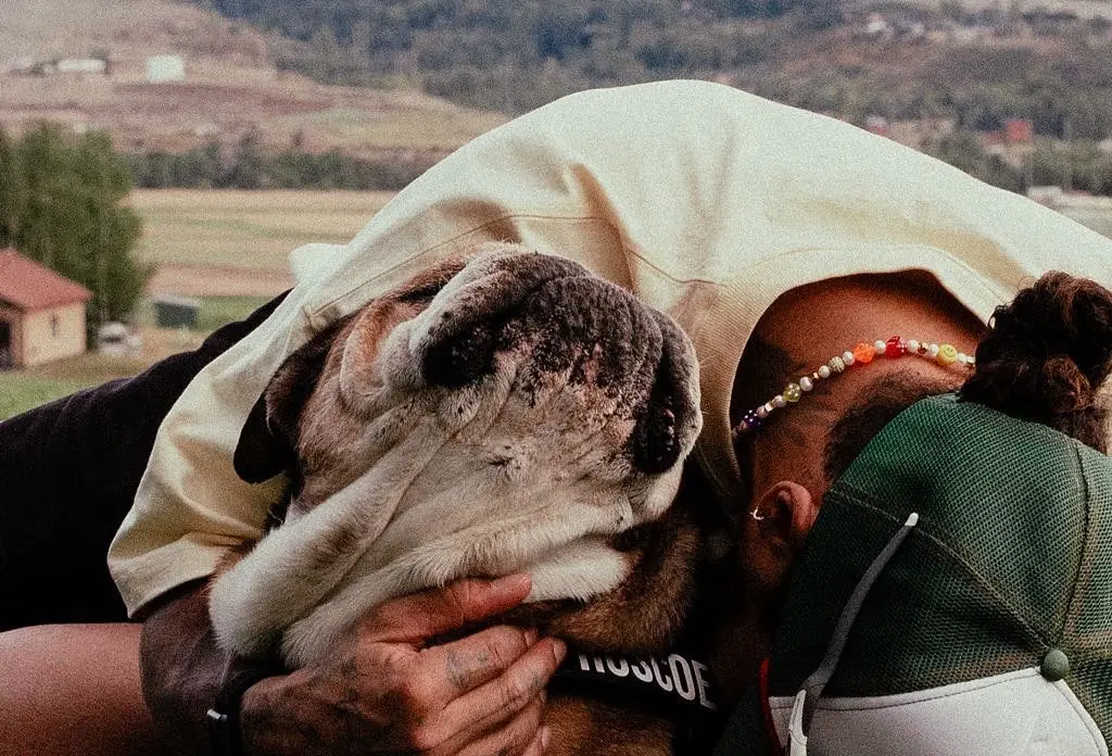 Formula 1 star Lewis Hamilton shares four-word post after death of his beloved dog Roscoe