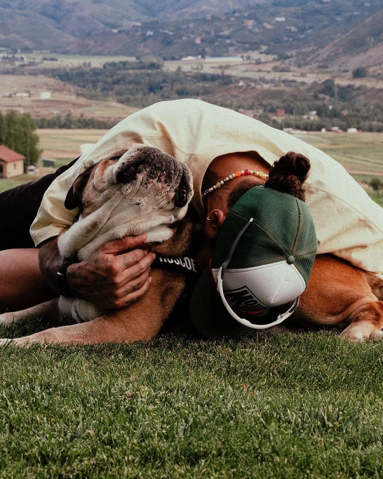 Formula 1 star Lewis Hamilton shares four-word post after death of his beloved dog Roscoe