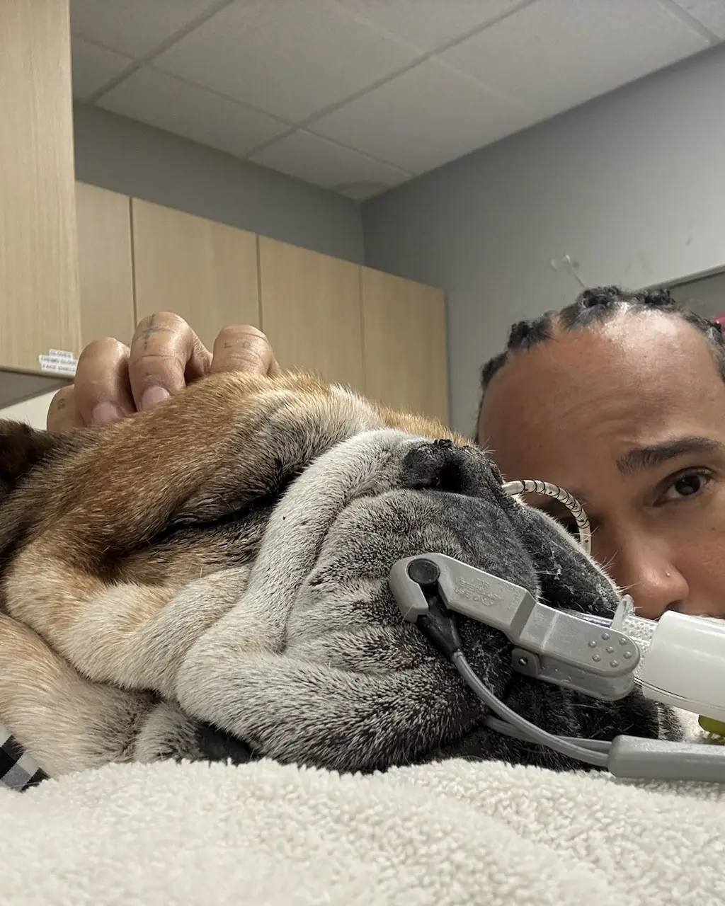 Lewis Hamilton shared the heartbreaking news about Roscoe. Credit: Lewis Hamilton/X