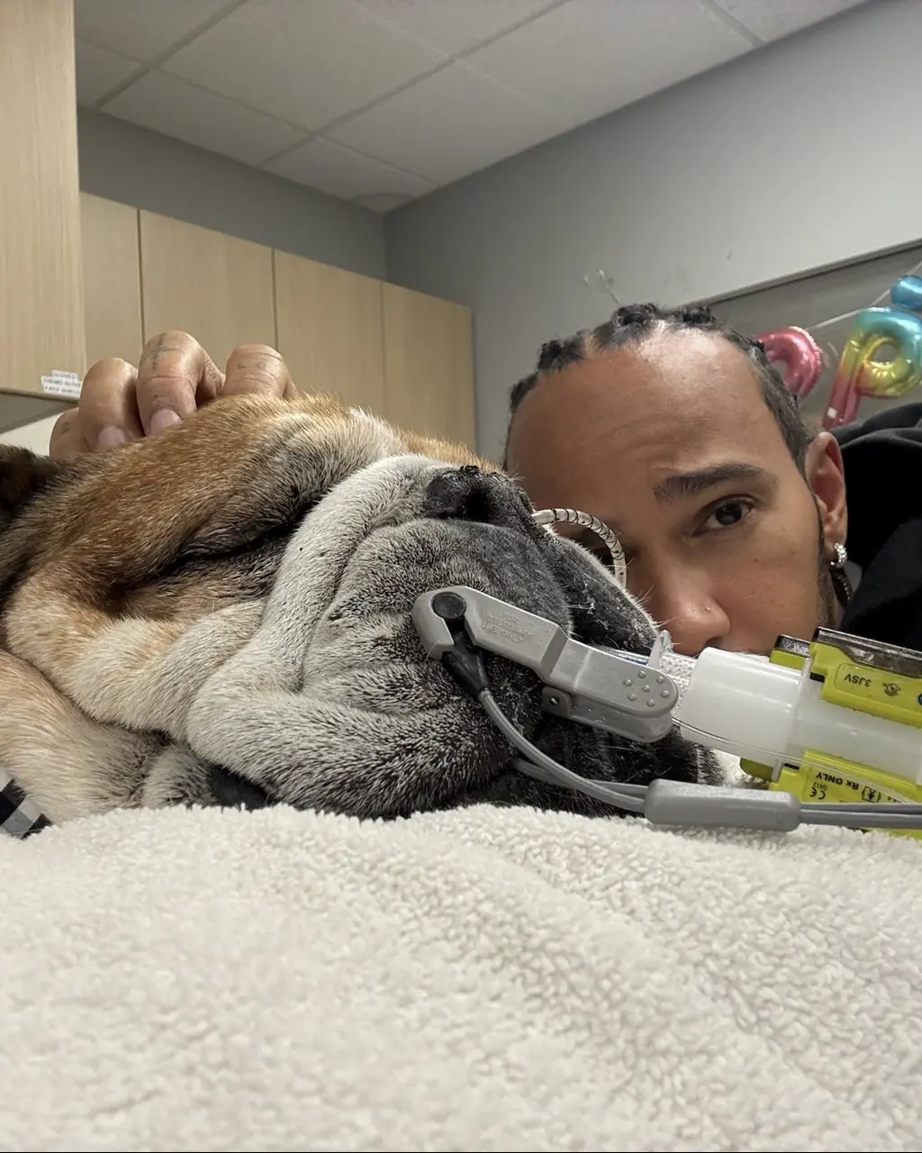 Lewis Hamilton shared the heartbreaking news about Roscoe. Credit: Lewis Hamilton/X