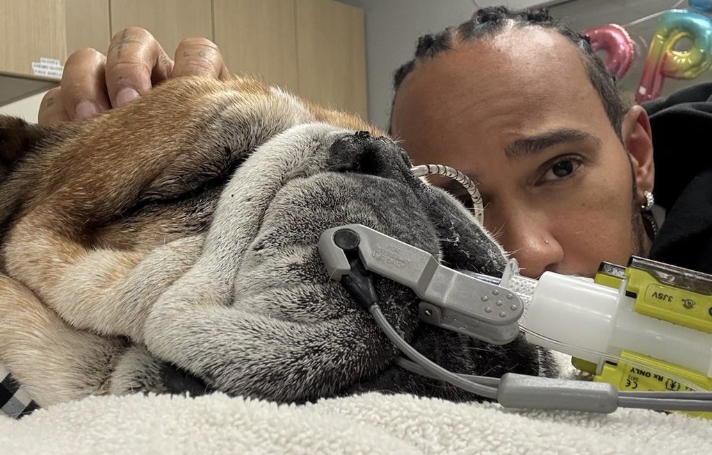 F1 star Lewis Hamilton shares four-word post after death of beloved dog Roscoe