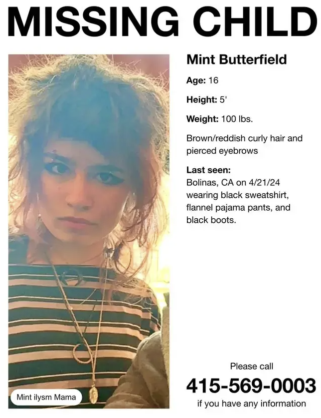 Missing child alert