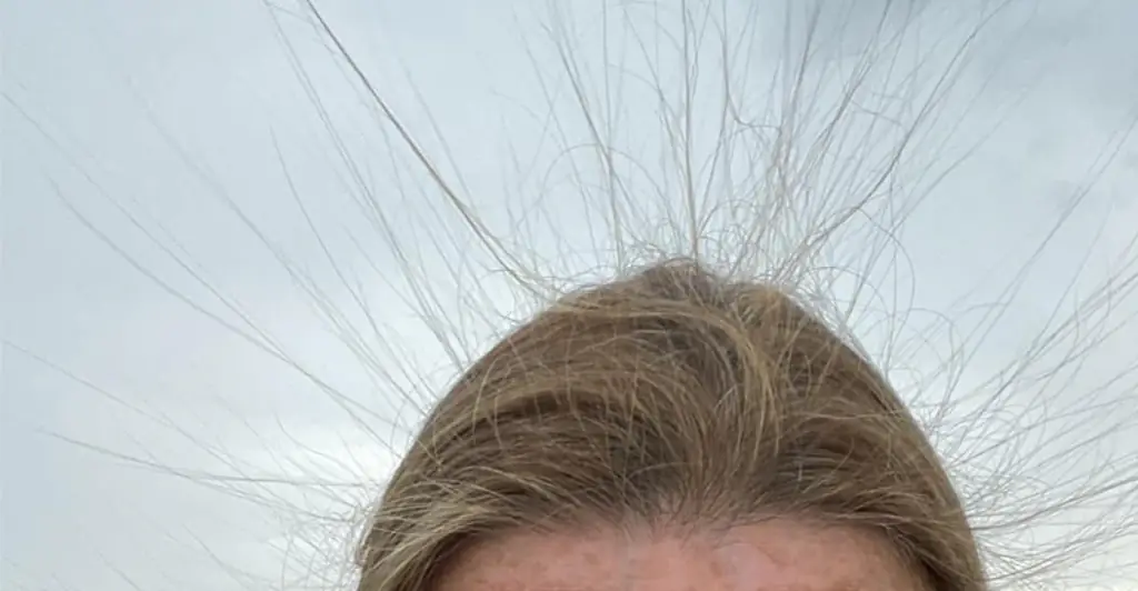 Woman warned she was in great danger after posting seemingly innocent photo of her hair