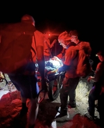Hiker who suffered paralyzing bite manages to relay her location moments before phone dies