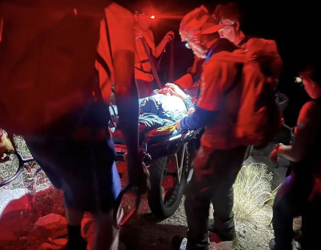 Hiker who suffered paralyzing bite manages to relay her location moments before phone dies