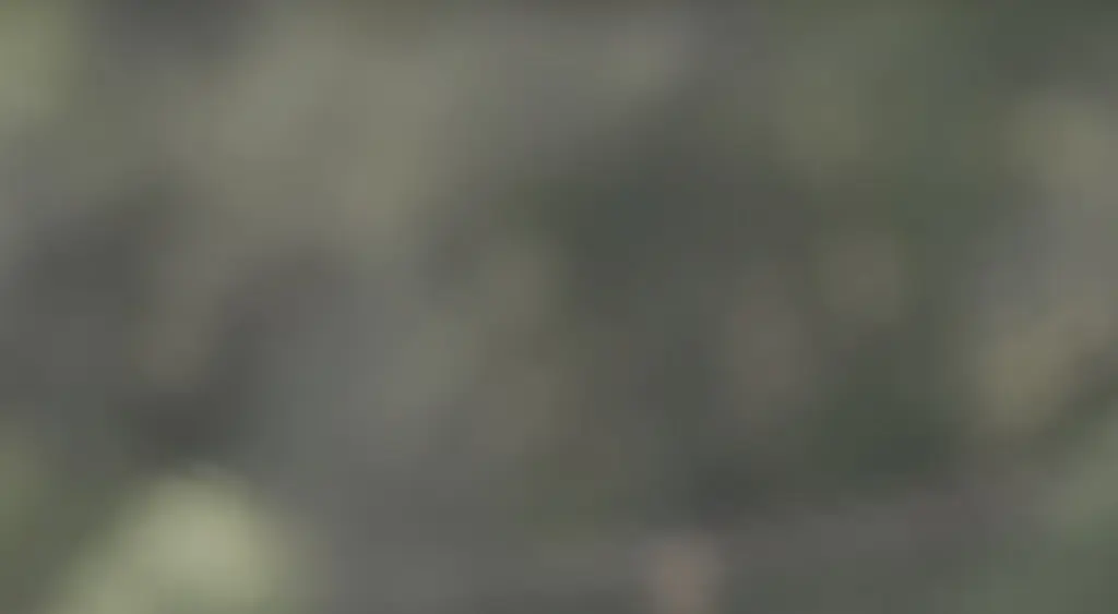 Man who took 'the most viewed photograph of all time' reveals how he did it