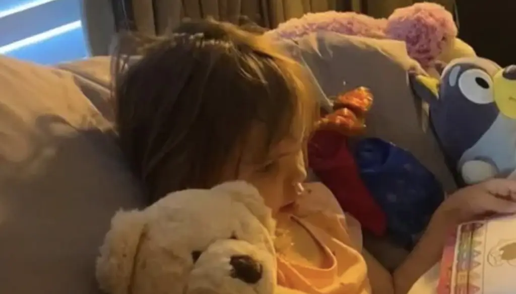 Haunting video shows horse in meadow with 3-year-old girl moments before it mauls her