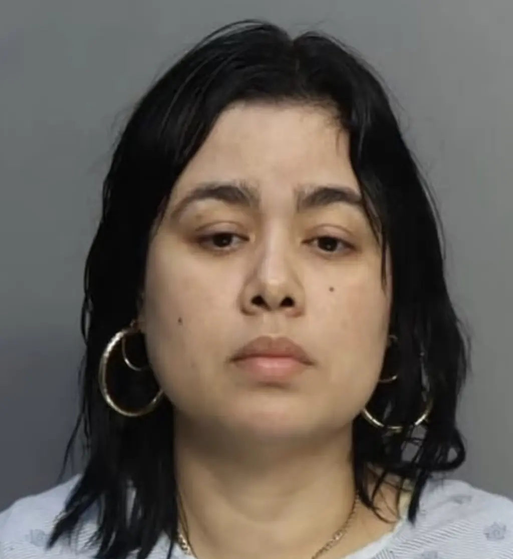 The couple were arrested after refusing to leave the plane. Credit: Miami-Dade Corrections and Rehabilitation 