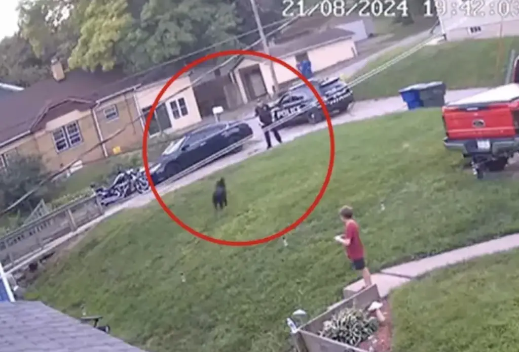 Thousands sign petition calling for Iowa cop who fatally shot family's dog to be punished