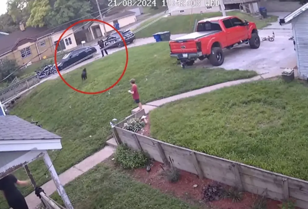 Thousands sign petition calling for Iowa cop who fatally shot family's dog to be punished