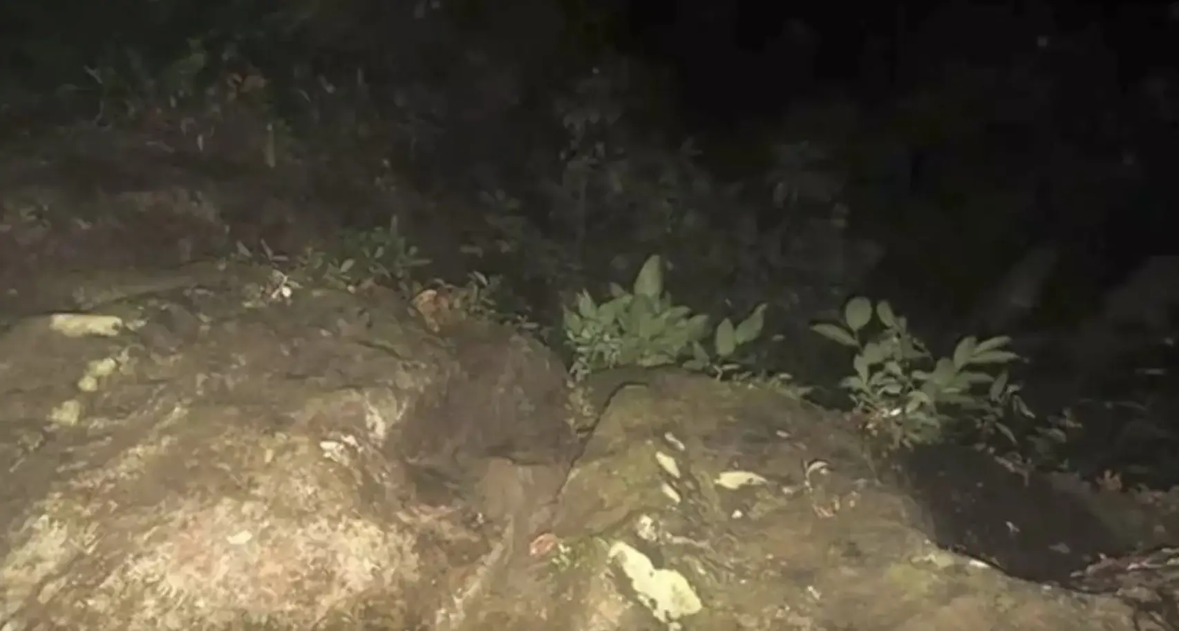 Images were also taken of the surrounding area that the girls were in. Credit: YouTube/TVN2