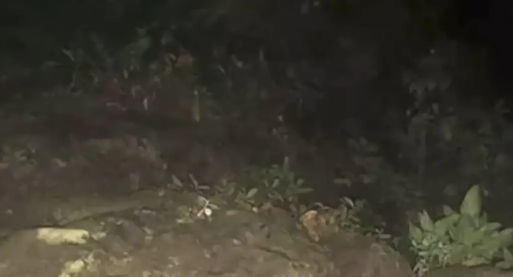 Images were also taken of the surrounding area that the women were in. Credit: YouTube/TVN2