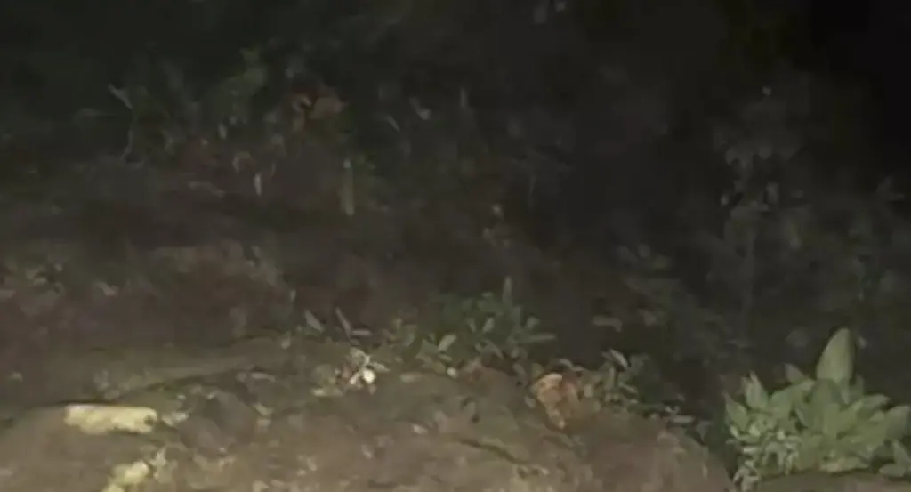 Images were also taken of the surrounding area that the girls were in. Credit: YouTube/TVN2