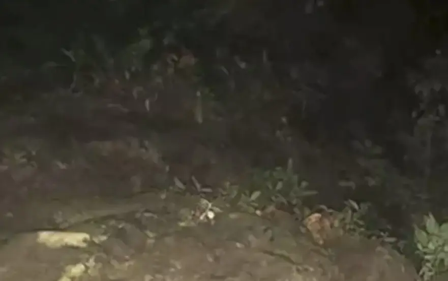 Images were also taken of the surrounding area that the girls were in. Credit: YouTube/TVN2