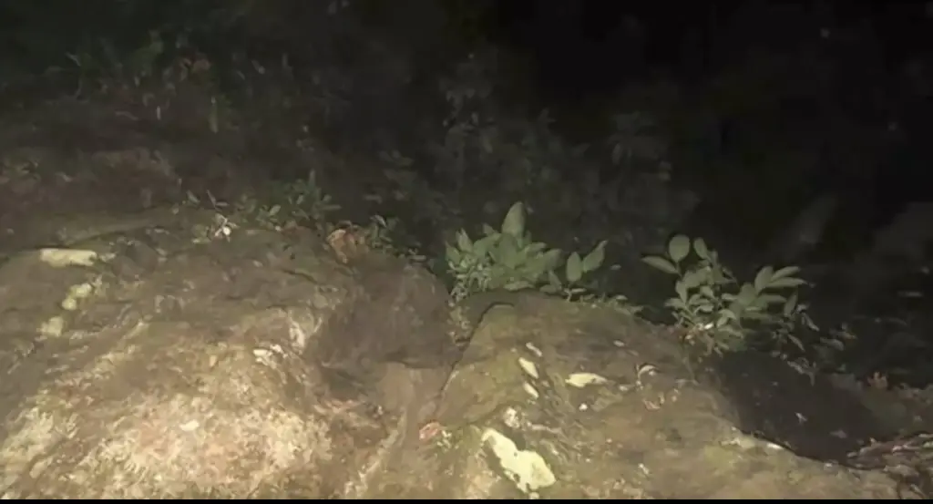 Images were also taken of the surrounding area that the girls were in. Credit: YouTube/TVN2