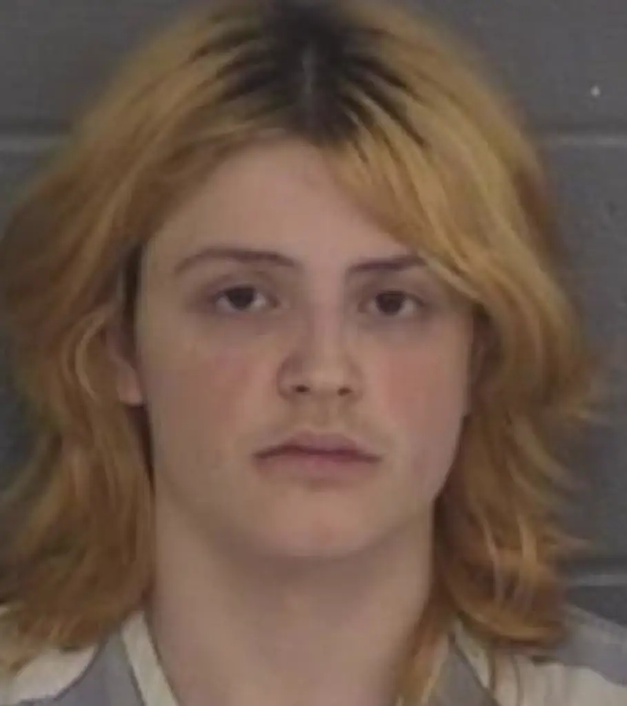 Credit: Barrow County Sheriff's Office