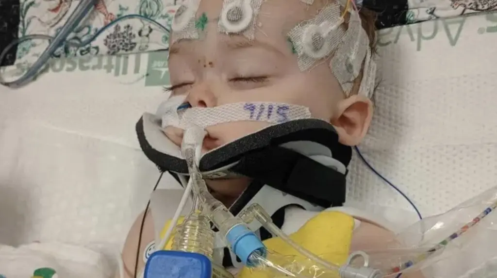 Waylon has shown signs of improvement. Credit: GoFundMe