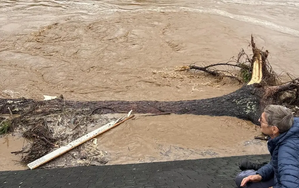 Family pays tribute to grandparents and grandson, 7, after they were swept away by floods after taking shelter on roof