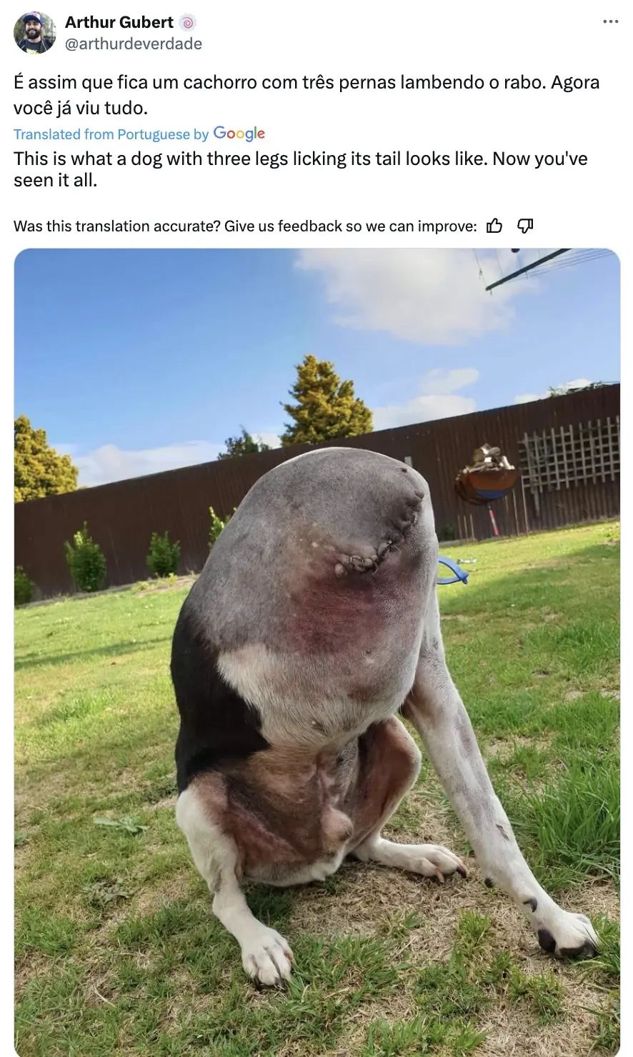 Credit: X/@arthurdeverdade
