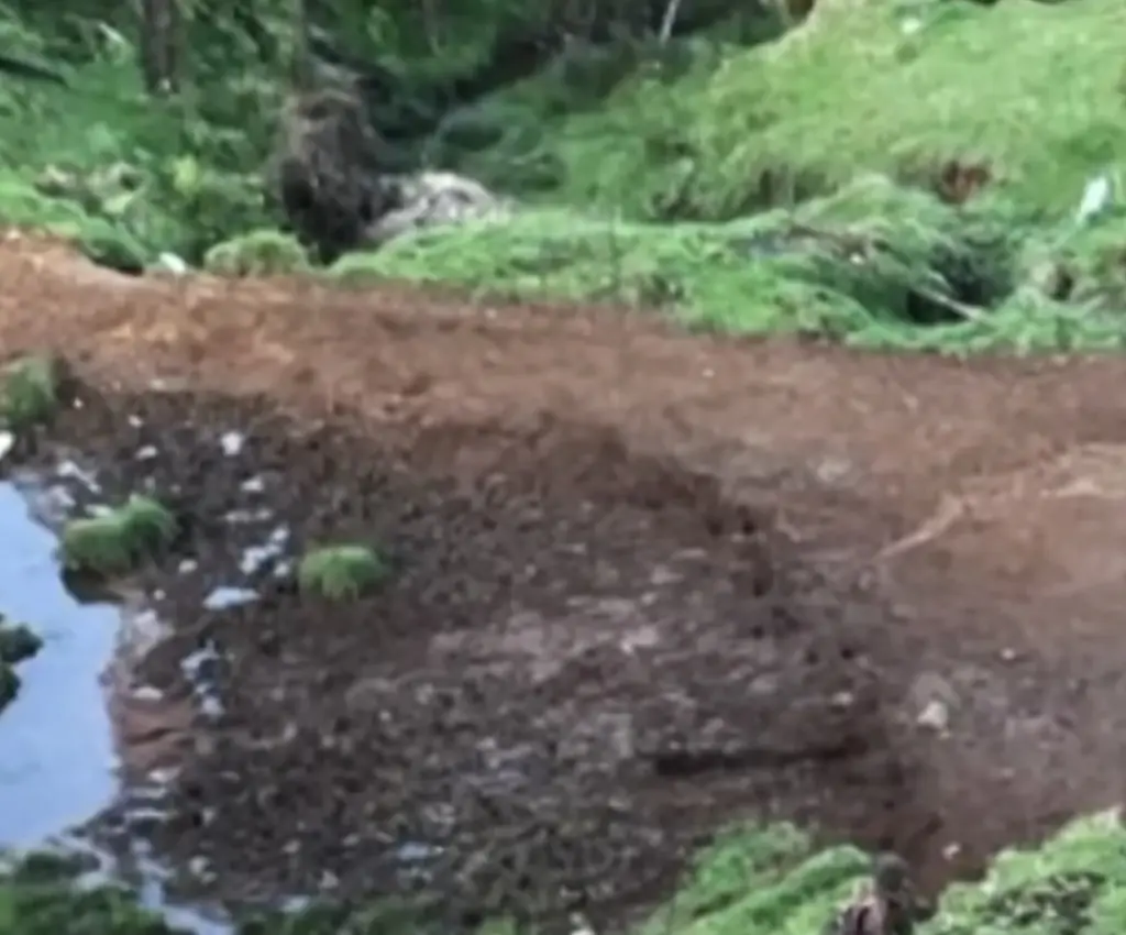 Mom shares chilling theory as her missing children are spotted 3 years after vanishing with their father