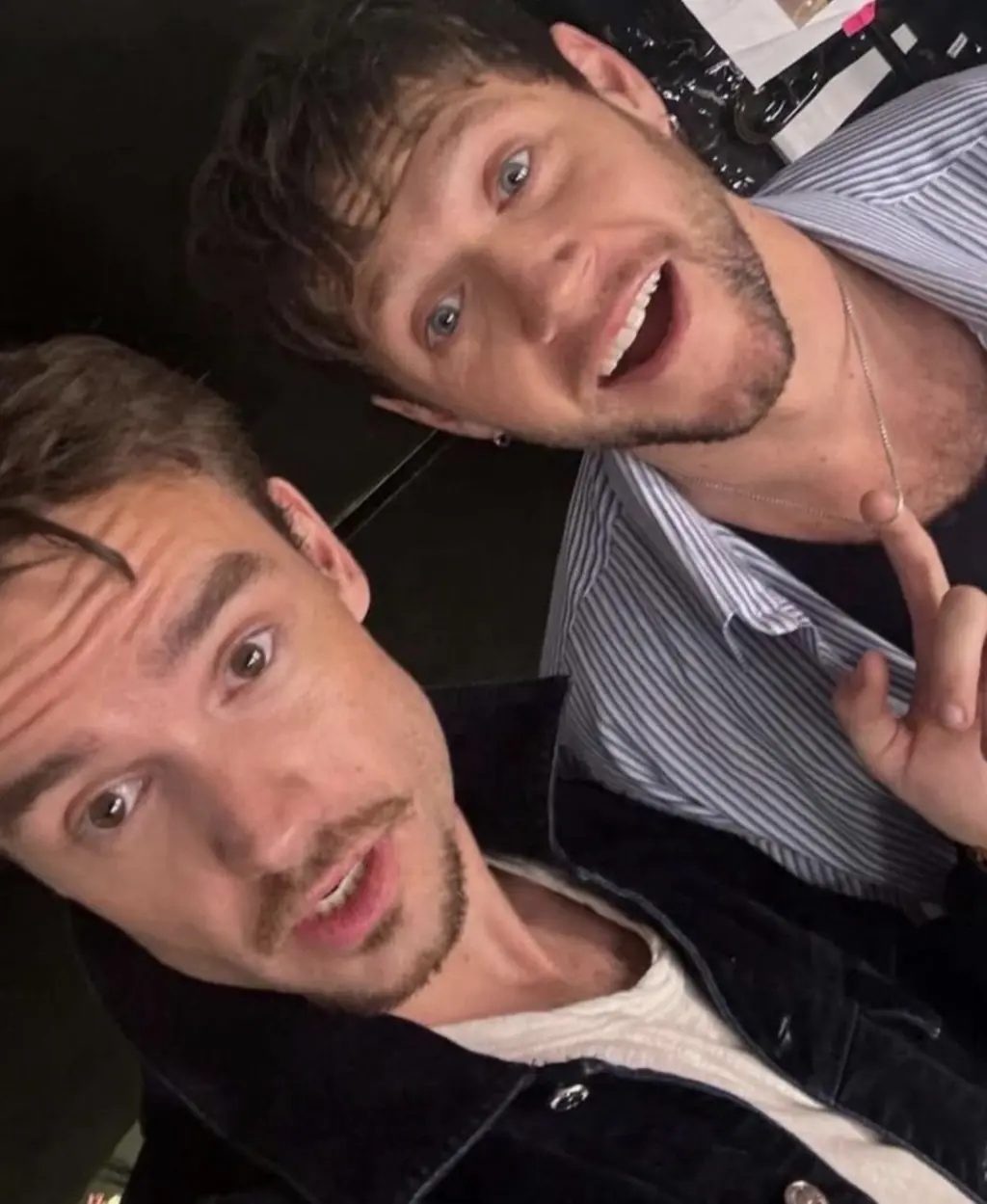 The two One Direction stars reunited days before Payne's death. Credit: Snapchat/LiamPayne