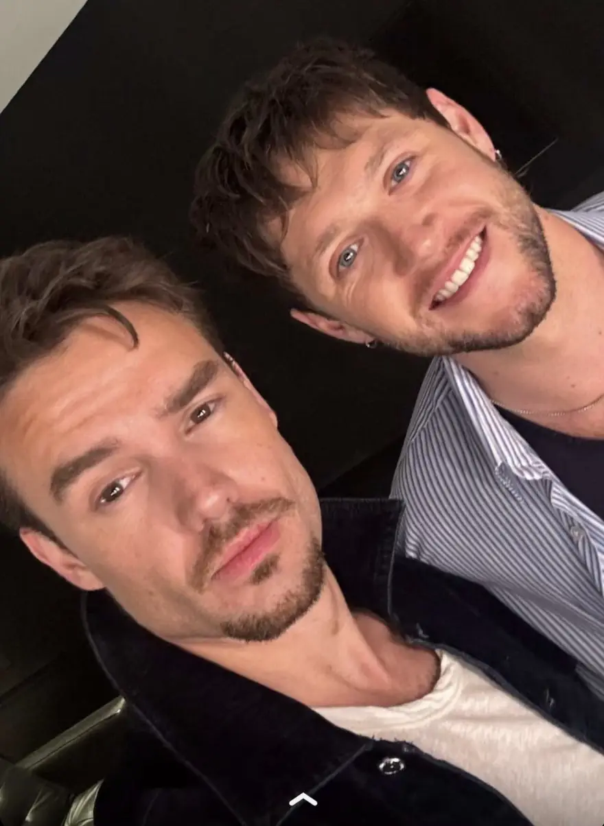 Footage shows Liam Payne enjoying Niall Horan concert with girlfriend just days before his death