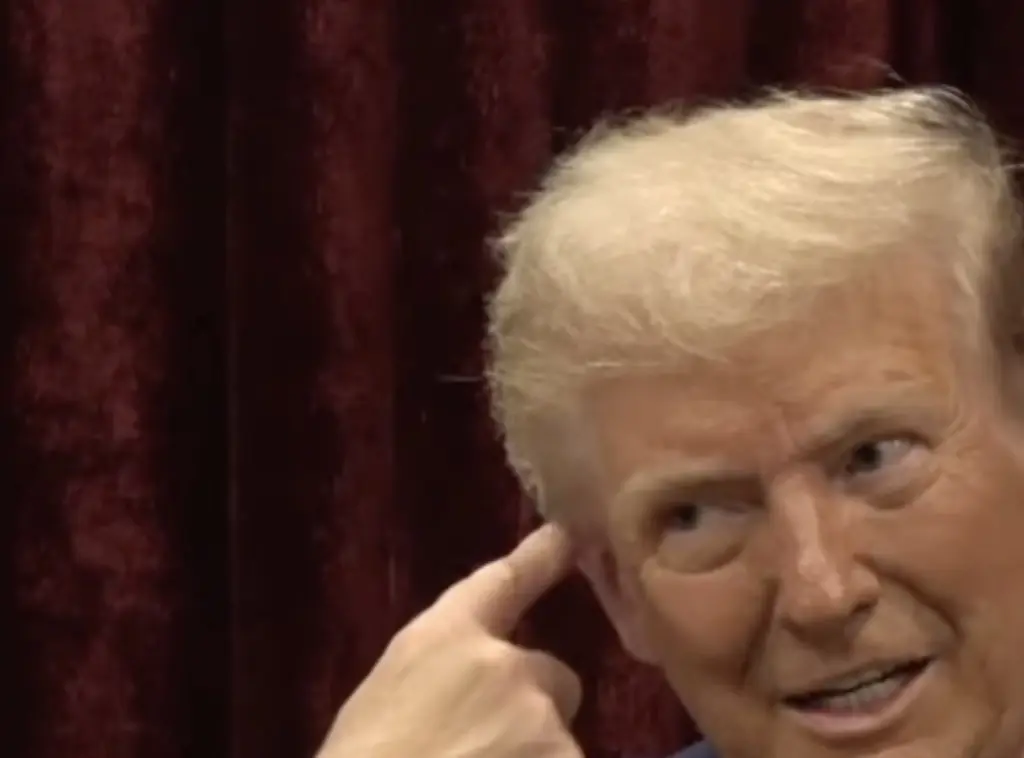 Donald Trump appears on Joe Rogan's podcast - talks ear injury, Kamala Harris