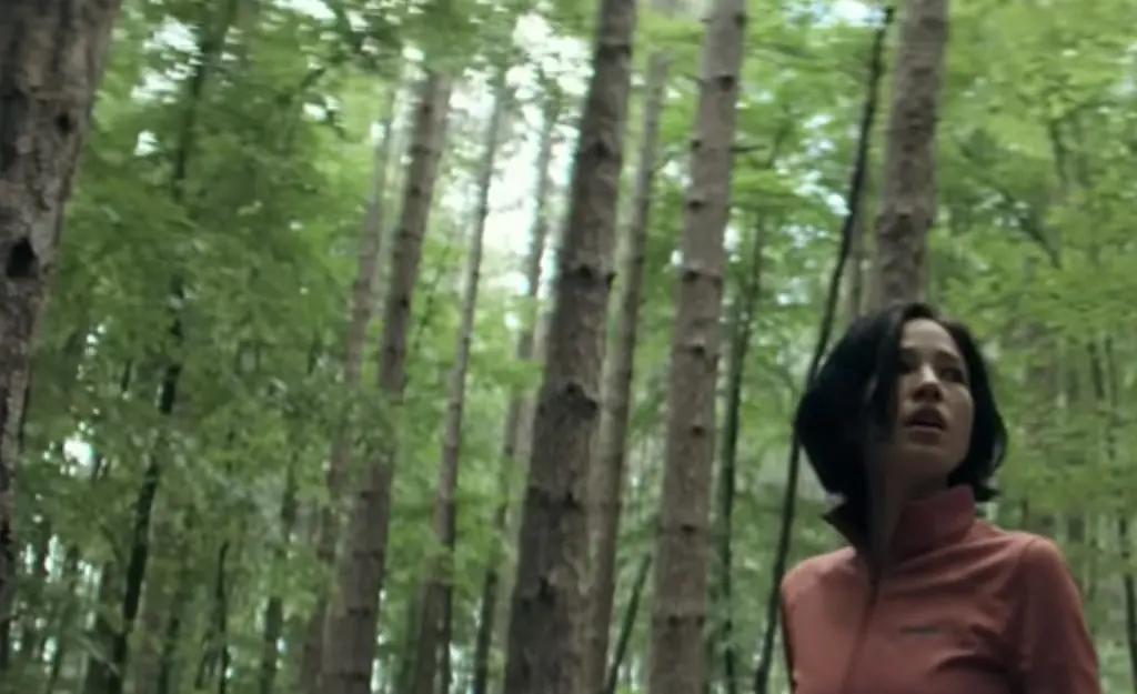 Screenshot 2024-10-27 at 10.48.52.jpg