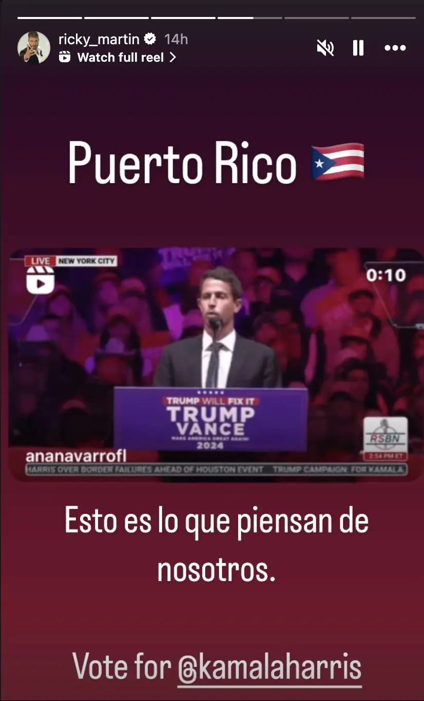 Ricky Martin also threw his support behind Harris. Credit: Instagram/ricky_martin