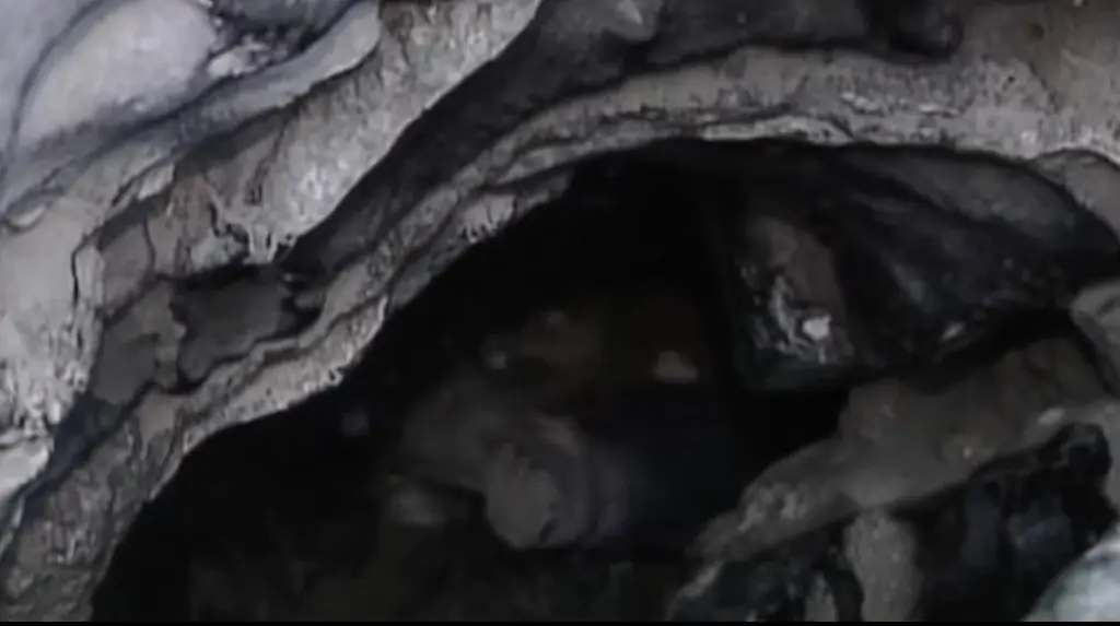 Terrifying simulation shows what happened to man who died 'worst death imaginable' after becoming trapped in Utah cave