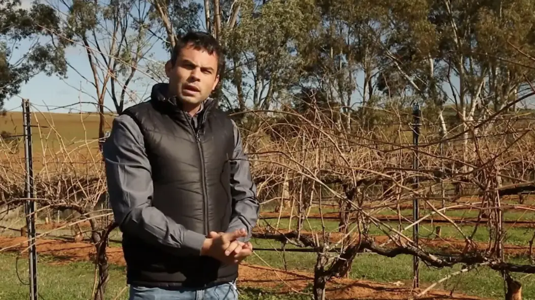 Ben Mitchell. Credit: Vinemo/Taylors Wines/Blue Goanna Digital