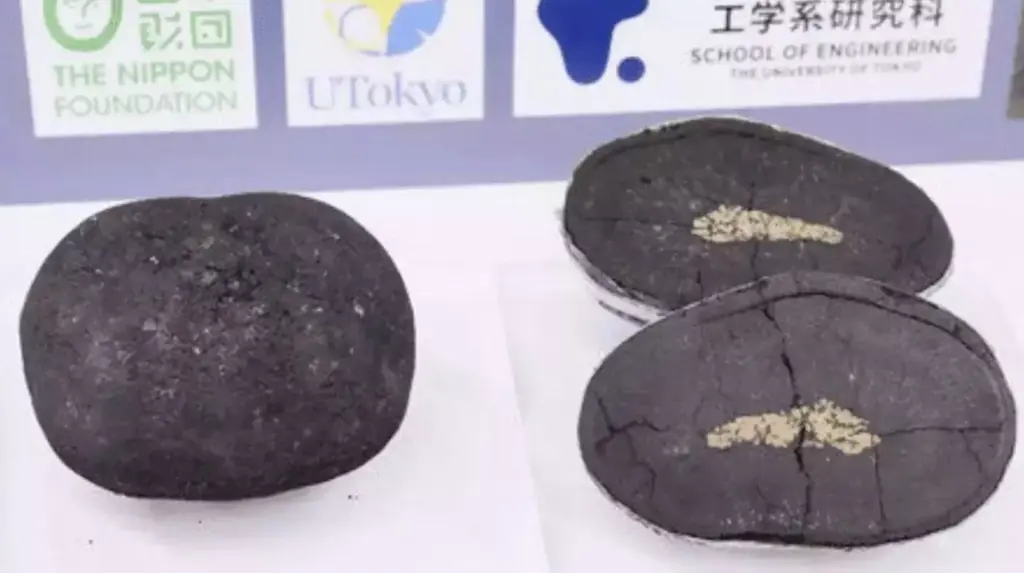 The discovery is equates to billions. Credit: The Nippon Foundation